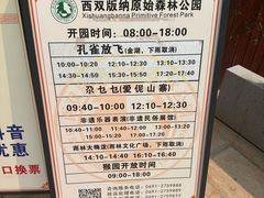 -西双版纳原始森林公园