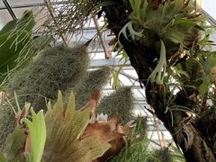 -国家植物园南园