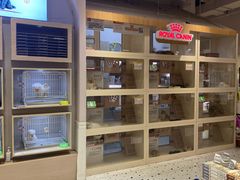 -囡的喵喵酱·萌宠生活馆·宠物洗护美容(胶州路店)