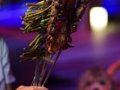 -上海崇明金茂凯悦酒店