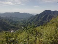 -大岭沟猕猴桃谷风景区