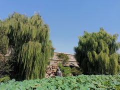 -莲池书院博物馆