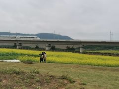 -光明小镇欢乐田园