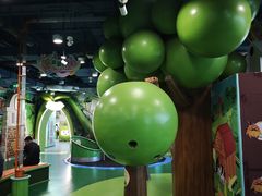 -中国宋庆龄青少年科技文化交流中心