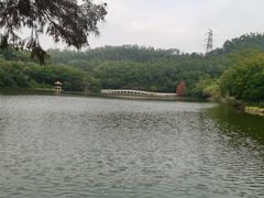 -深圳仙湖植物园