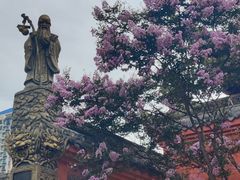 -古大圣慈寺