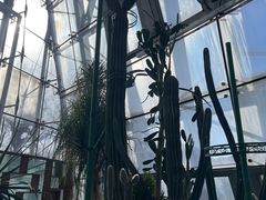 -北京植物园-展览温室