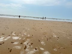 -日照海滨国家森林公园