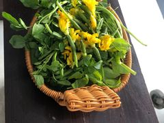 -墨脱石锅椰子鸡•香草鸭•东山羊(大东海店)