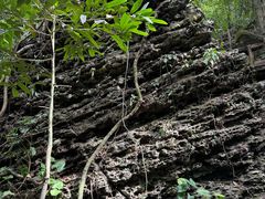 -七仙岭温泉国家森林公园