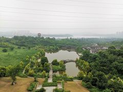 -张坝桂圆林公园
