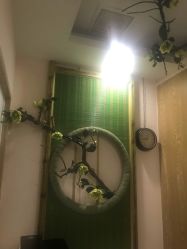 -芳朵美容养生SPA