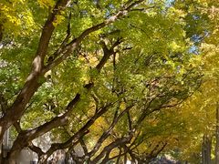 -山东师范大学(千佛山校区)