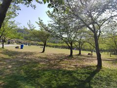 -苏州上方山国家森林公园
