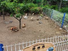 -雾灵西峰