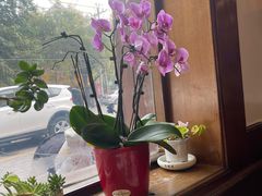 -高丽屋(天宁寺店)