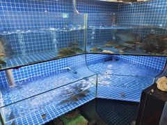 -宾湖农庄·农场特色(太湖龙之梦店)