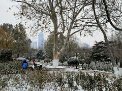 -睦南公园