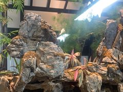 -舟小鲜·舟山小渔村(凤城四路中登广场店)