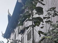 -卡旺卡(合肥步行街韵淮阁店)