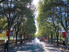 -华东政法大学(松江校区)