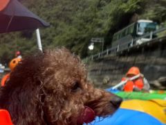 -安吉龙王山峡谷漂流