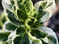 -杭州城北体育公园