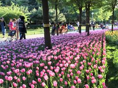 -长春公园(普阳街道)