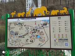 -栾川竹海野生动物园