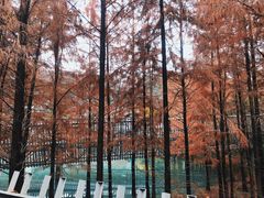 -梅峰山地公园