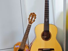 -大象音乐·吉他·架子鼓·声乐(双井店)
