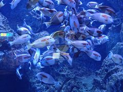 -成都浩海立方海洋公园