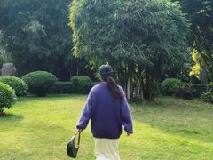 -晓港公园