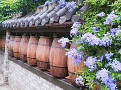 -三溪村