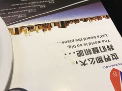 -法兰度航空主题餐厅(河源店)