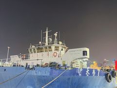 -上海港国际客运中心