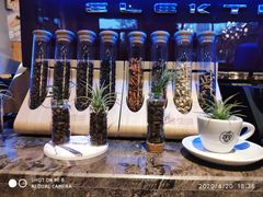 -ZING COFFEE 镜咖啡