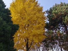 -仁和公园(顺义区)