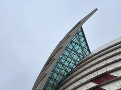-星光岛
