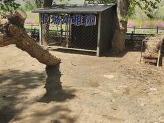 -大连铭湖国际观光牧场