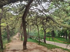 -元大都城垣遗址公园