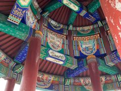 -府君山公园