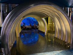 -迪拜帆船酒店海底餐厅