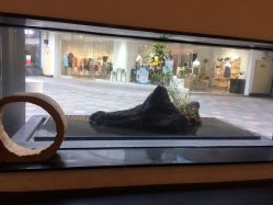 -斑斓色彩沙龙