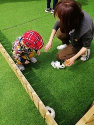 -萌宠亲子动物乐园(槐房万达店)