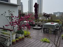 -哈瓦那雪茄酒廊超市(武汉天地分店)