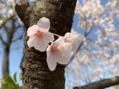 -幕燕滨江·燕子矶公园