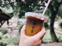 -杨家堂村