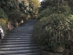 -宝界山林公园