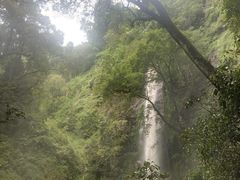 -莫里热带雨林景区